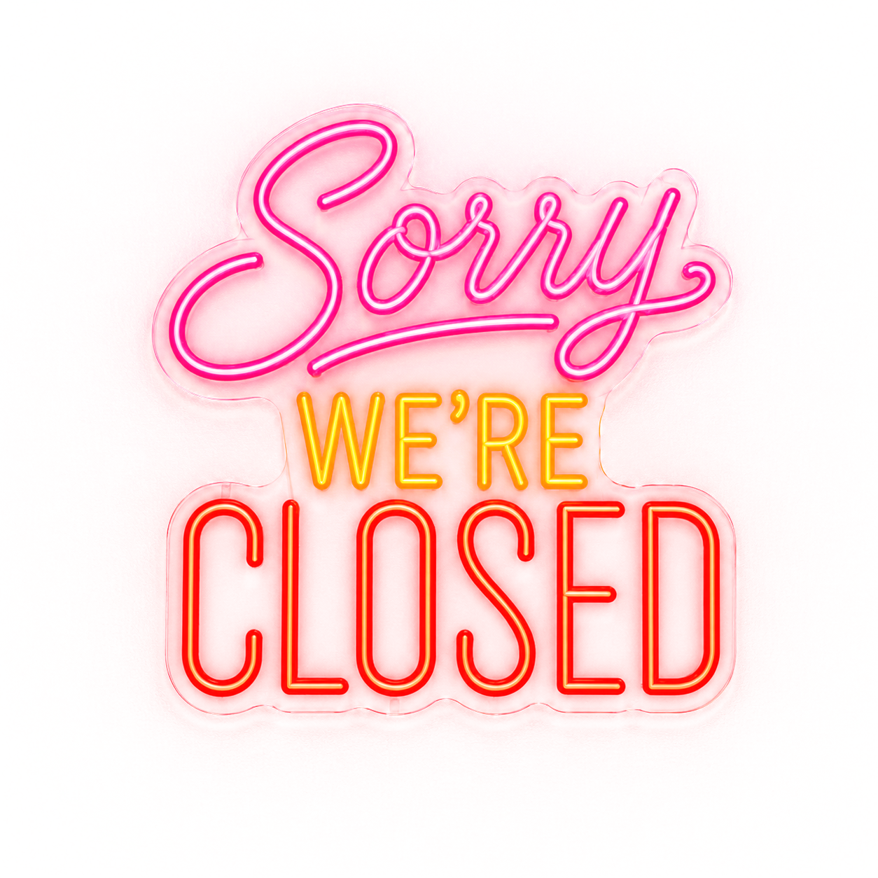 Sorry Neon Sign